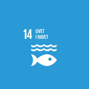 Tavoitteet_square_dansk_14 Tavoitteet_square_dansk_14